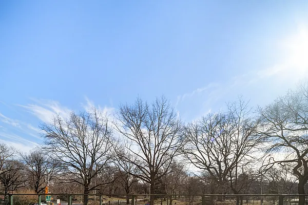 Rented by Douglas Elliman | media 22