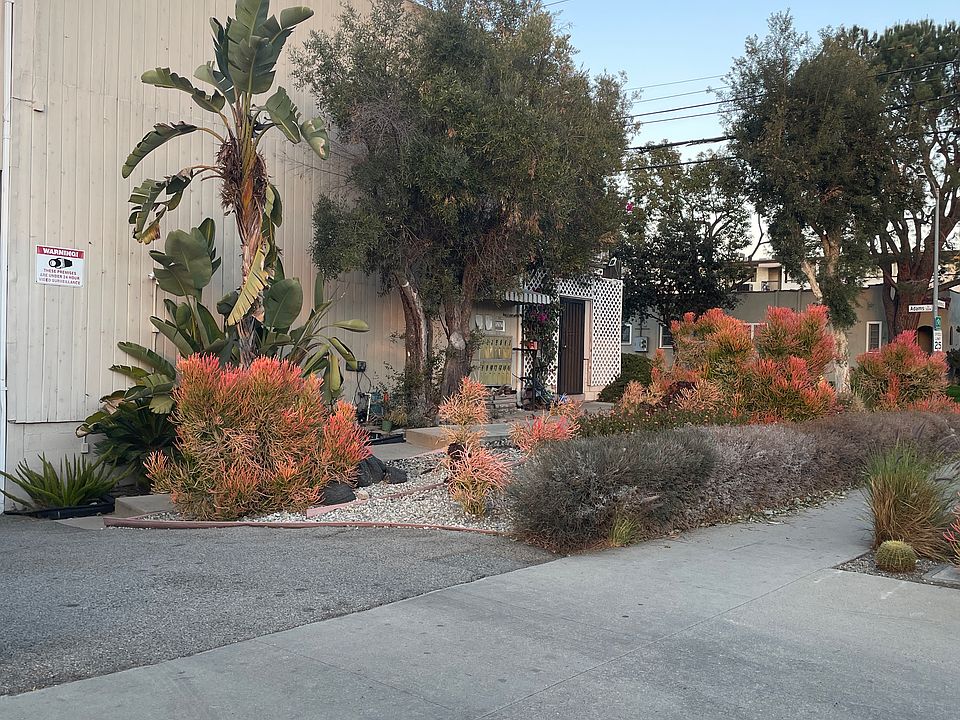 1st image of 1019 E California Ave APT 1