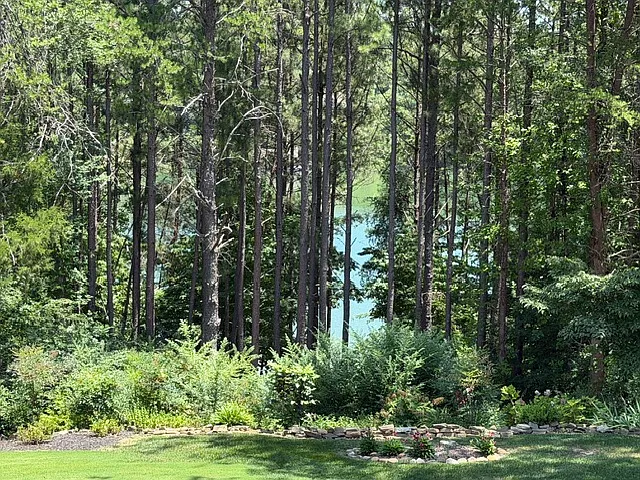Private back yard's lake view