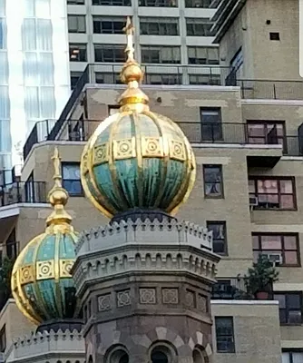 Rented by Compass | media 16