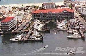 white Marlin Main
