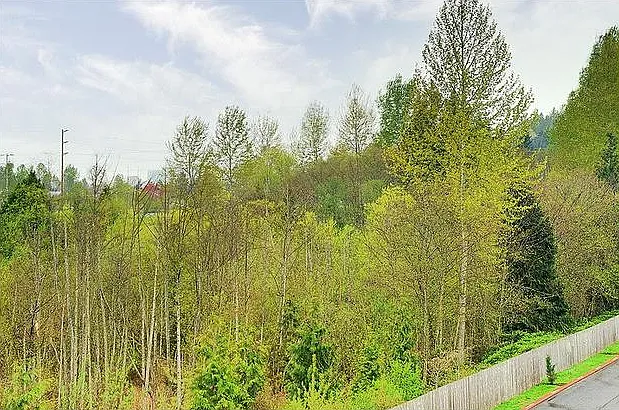 outside view from deck