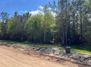 Ellwood Dr, Livingston, TX 77351