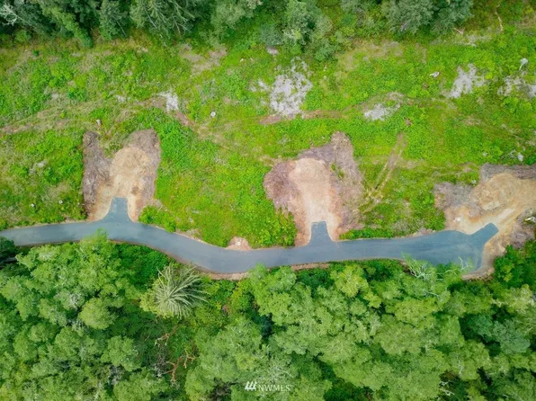 10401 Pearl Lane, Long Beach, WA 98631