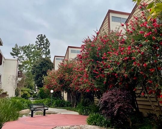 5th image of 6050 Canterbury Dr Unit F110