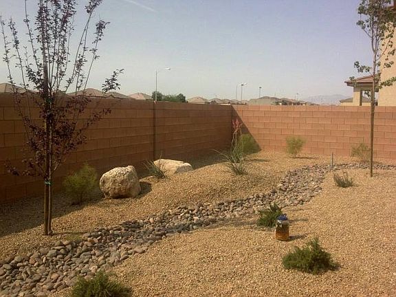 Low maintenance back yard