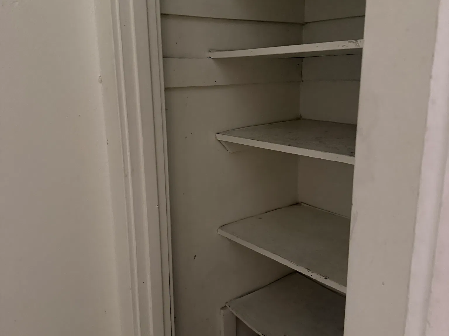 1 bed, 1000 sqft, $1,000 — Photo 3