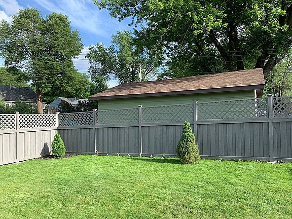 Evergreens planted in 2020