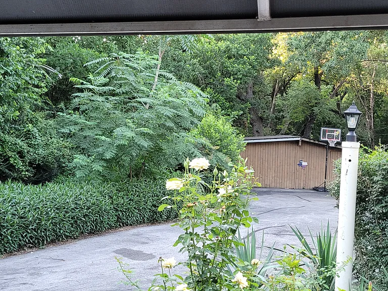 Another view from front door. Nothing between you and the Trinity River but the basketball court, barn, animal pens, woods, trails, parks and soccer fields. This place is VERY unique and ideal for nature lovers.