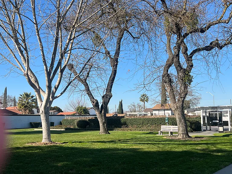 Common area park