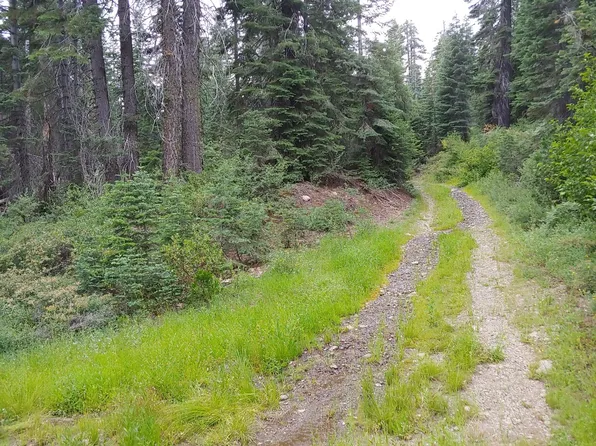 18080 Marsh Mill Rd, Nevada City, CA 95959