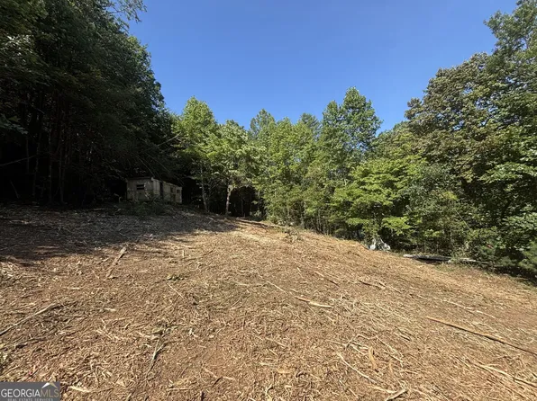 1565 Davis Rd, Hiawassee, GA 30546