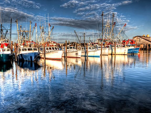 Marina