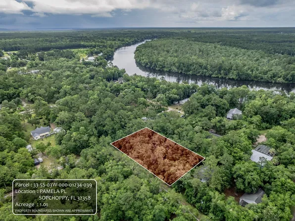 Xx Pamela Pl, Sopchoppy, FL 32358