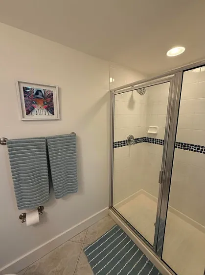 Guest Shower