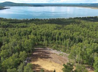 10060 White Birch Rd, Salcha, AK 99714