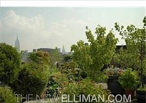 1st image of 350 Bleecker St APT 1T