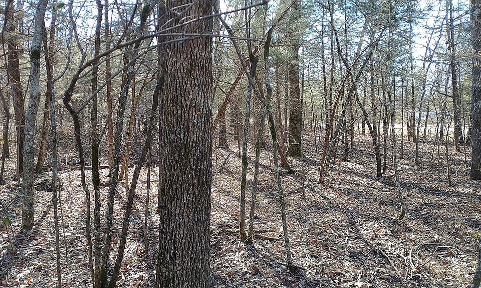1st image of 1518 Pavilion Ln