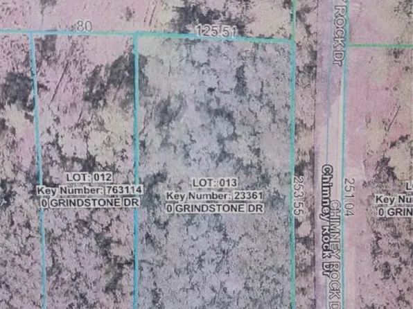 Grindstone Dr, Webster, FL 33597