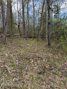 0 Clear Springs Rd, Harriman, TN, 37748