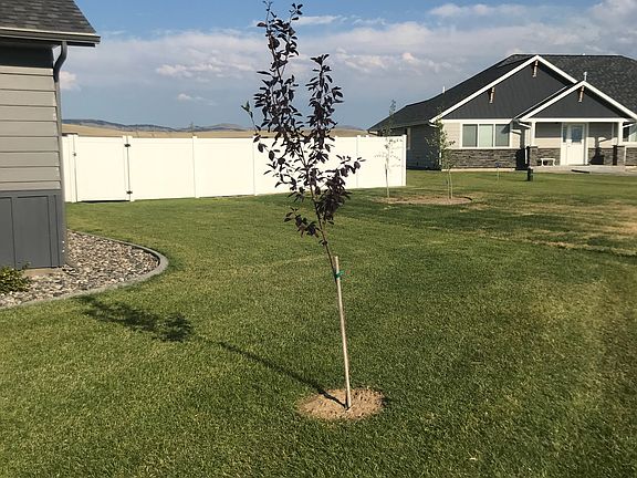 3rd image of 2917 Callaway Dr