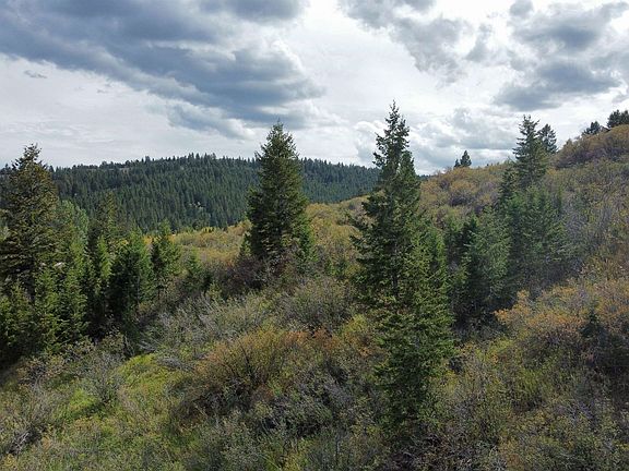 4th image of 155 Caribou Rd