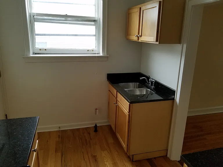 1523 W Lunt Ave #1B — Photo 3
