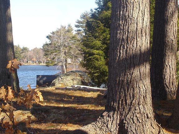 Views from the patio