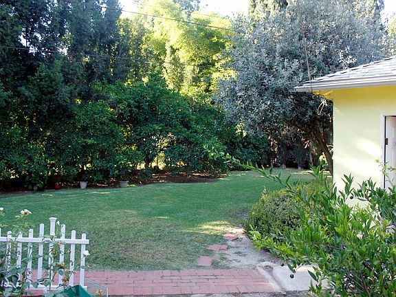 back yard and garage