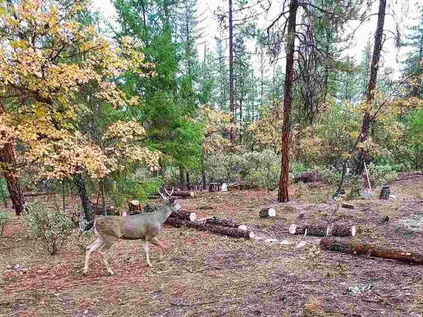 6519 Mill Creek Rd, Fort Jones, CA 96032