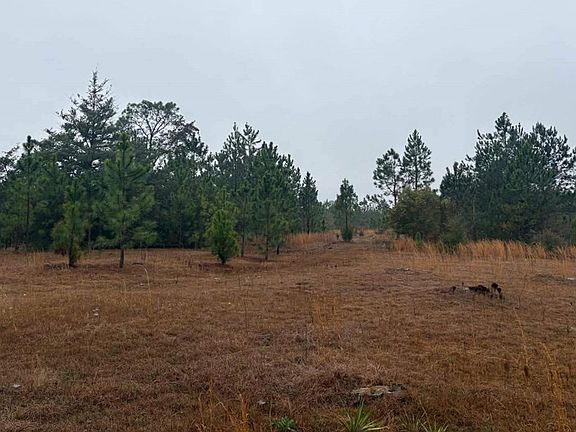 2nd image of 0 Hilltop Rd NE