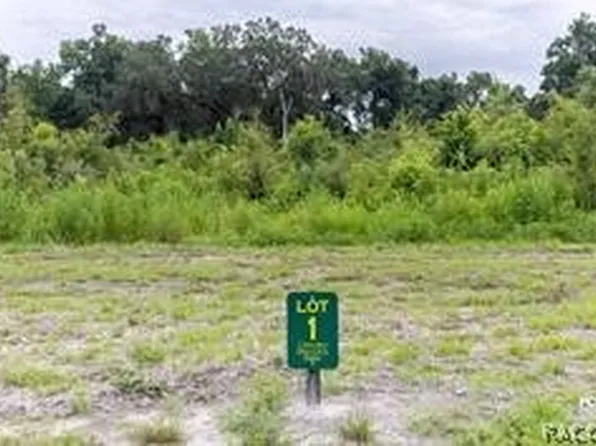1480 Oxford Preserve, Oxford, FL 34484