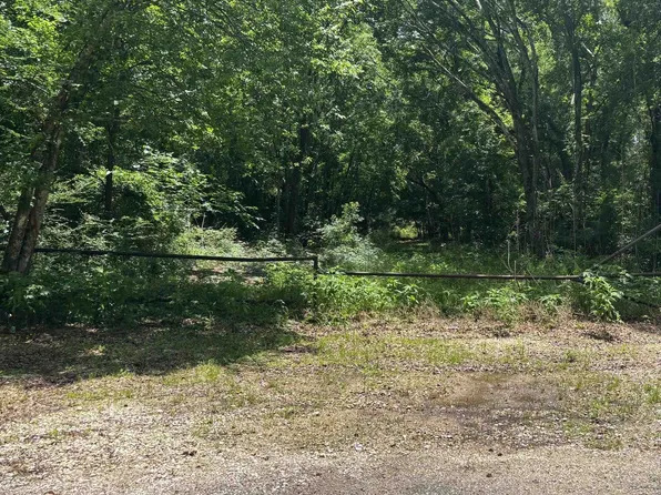 Bamboo Rd, Evangeline, LA 70537