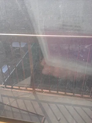 Rented by 18 REALTY | media 39