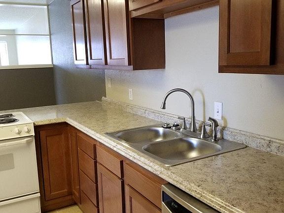 Kitchen Faucet with Sprayer & Stainless Steel Dishwasher!!