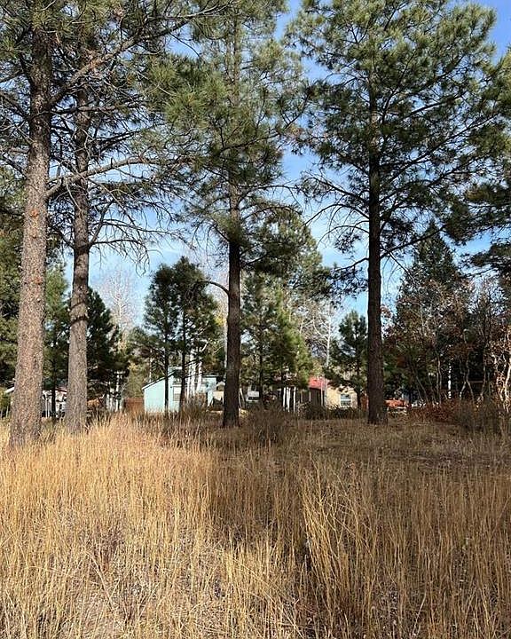 1st image of 164 Canyon Circle