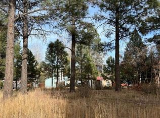 164 Canyon Cir, Pagosa Springs, CO 81147