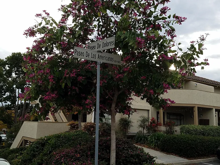 3512 Paseo De Los Americanos #86 — Photo 27