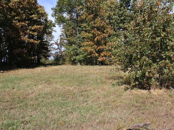 000 Wild Turkey Road Block 1 Lot 6, West Plains, MO 65775