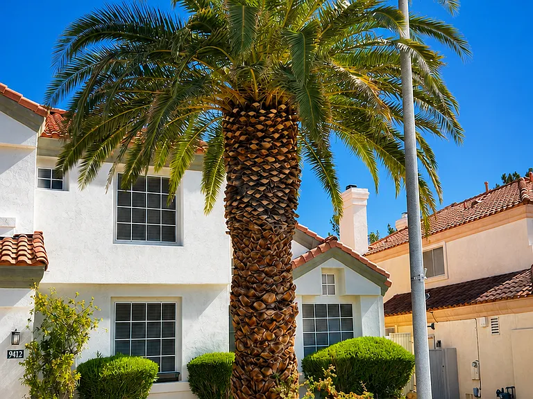 Mature palm trees and attractive landscaped front yard