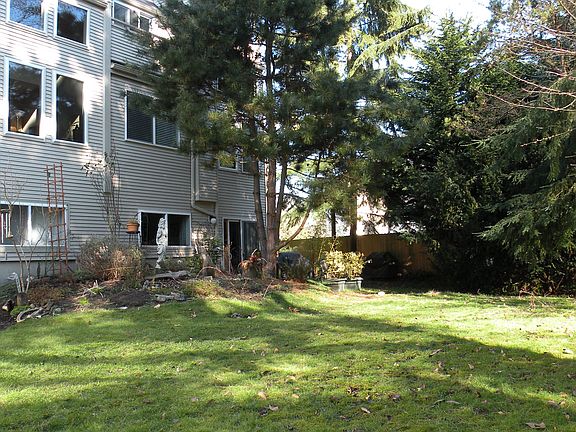Private back yard