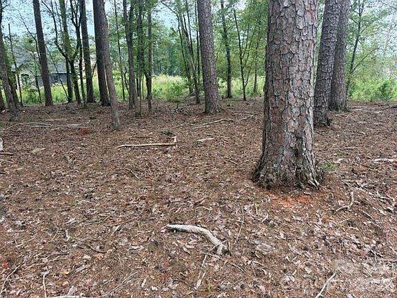 5th image of 0 Eagle Point