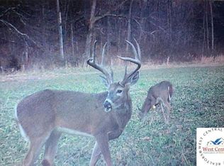 1382 Big Buffalo Rd, Stover, MO 65078