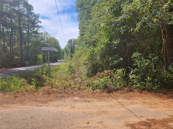 LOT 1 Cherry Tree Ln, Plantersville, TX 77363