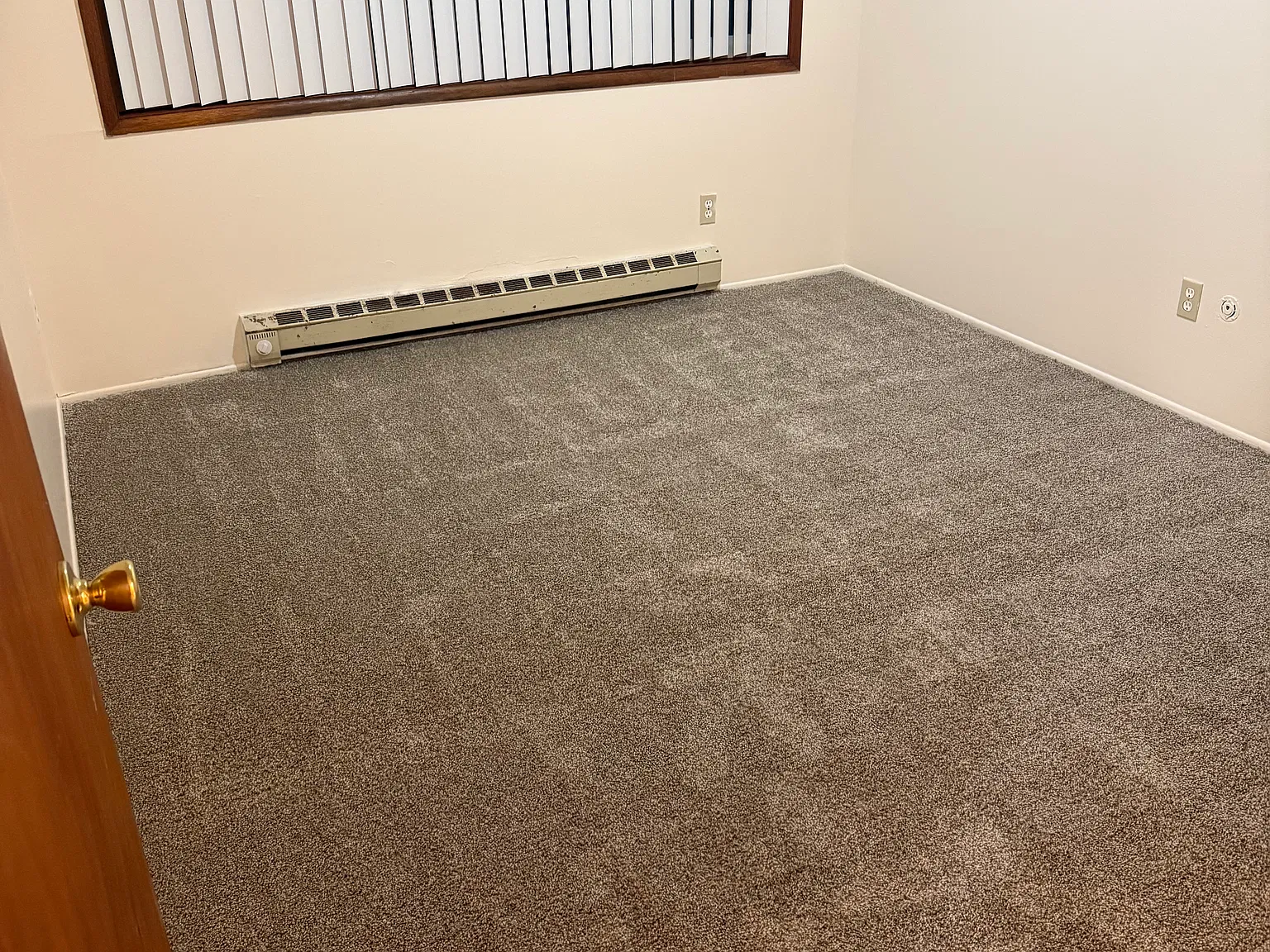 1 bed, 490 sqft, $1,400 — Photo 3