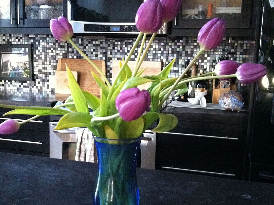 Contemporary Custom Kitchen