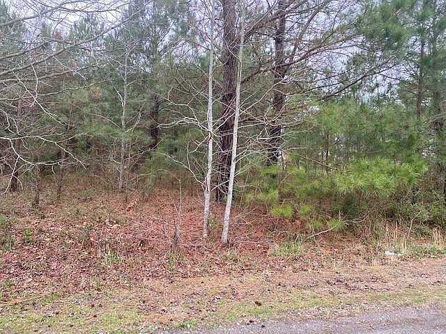 2nd image of LOT 6 Hall Rd