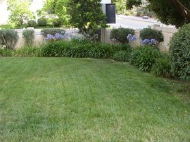 Talmadge Canyon Park, Plan 1