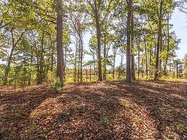 Property photo 39