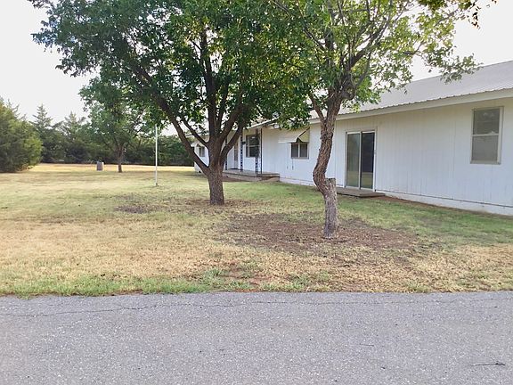 Lots of pecan trees!